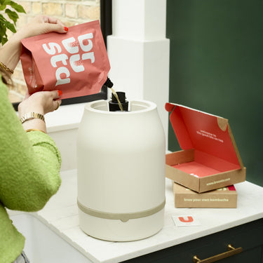 Adding kombucha brewing ingredients to the Bruusta kombucha home brewer for beginners 